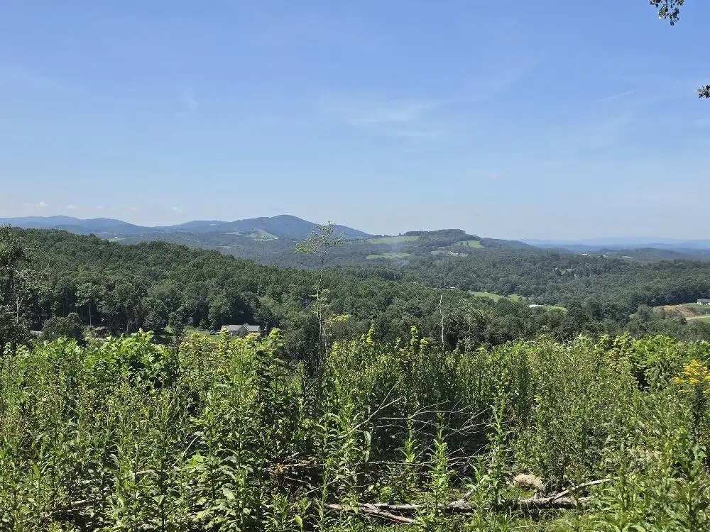 TBD Savannah Rd, Galax, VA 24333 - #1