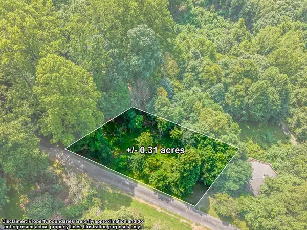 TBD Buck Hollar Rd, Hillsville, VA 24333