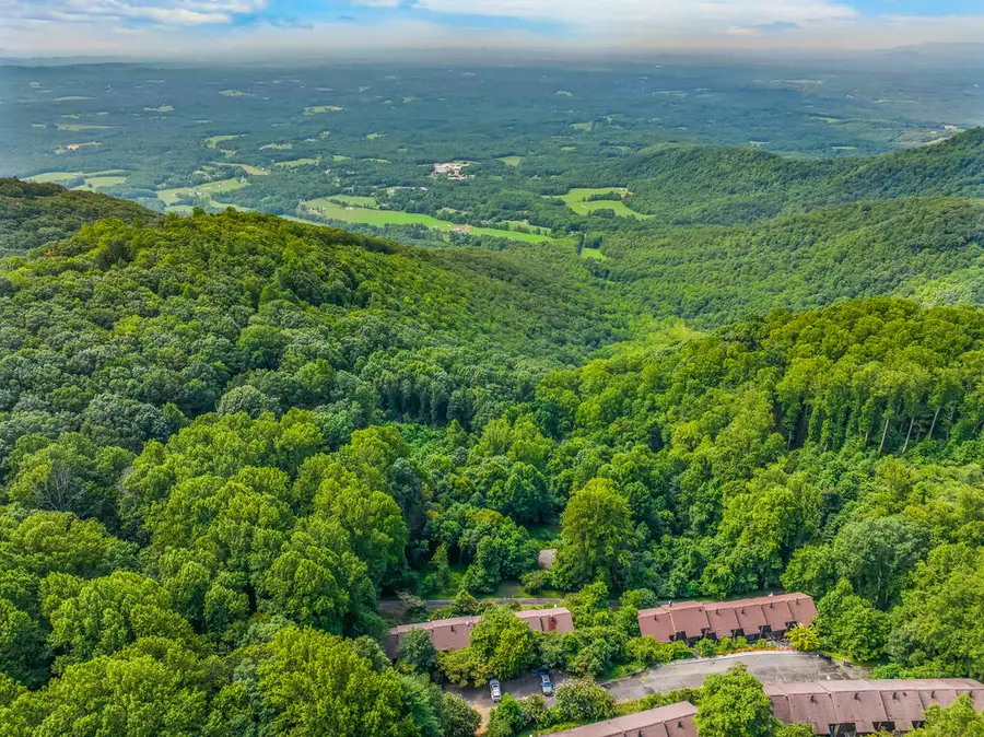 TBD Buck Hollar Rd, Ararat, VA 24333 - #2