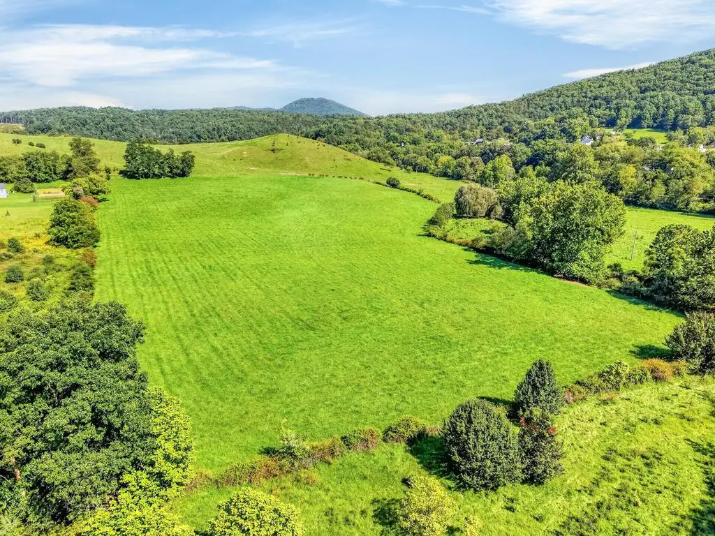 TBD Peppers Ferry Rd., Max Meadows, VA 24360 - #1