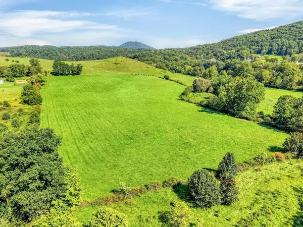 TBD Peppers Ferry Rd., Max Meadows, VA 24360