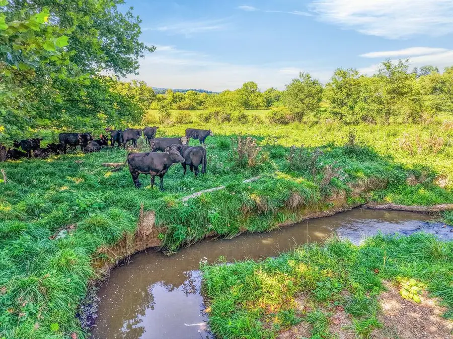 TBD Peppers Ferry Rd., Max Meadows, VA 24360 - #3
