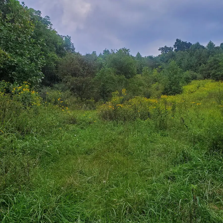 949 Palmer Ave, Saltville, VA 24370 - #3