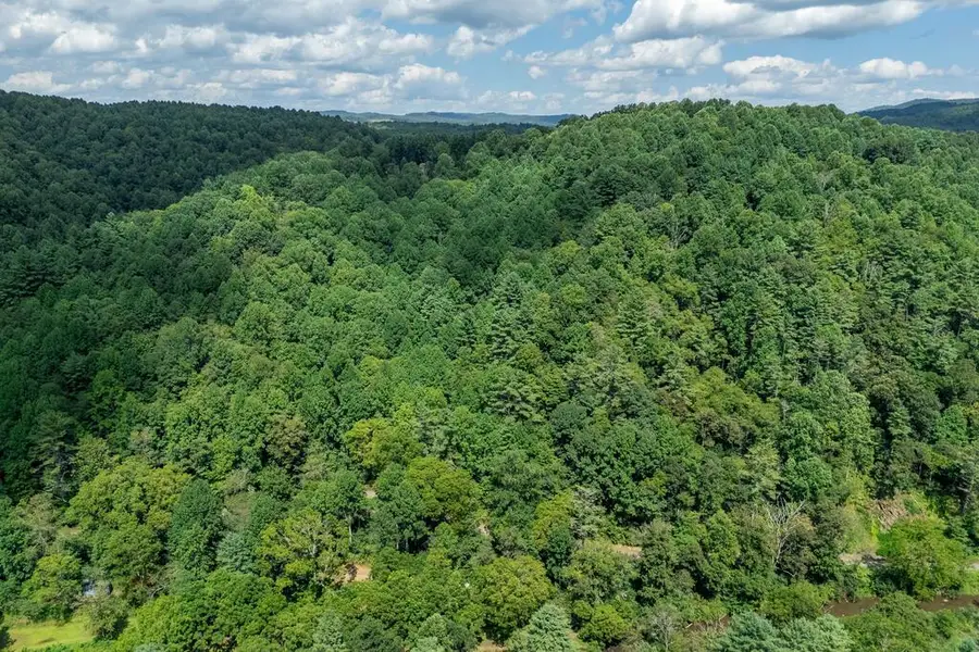 2.76ac Burkes Ford Rd, Dugspur, VA 24325 - #2
