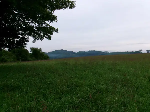 TBD Little Acres Road, North Tazewell, VA 24630