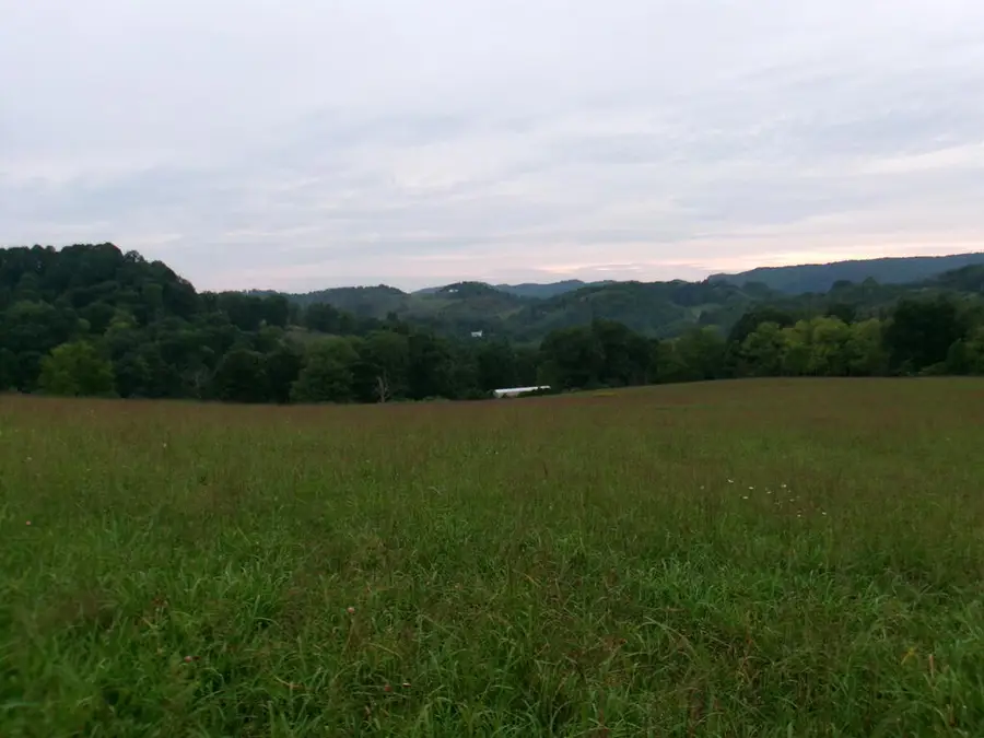 TBD Little Acres Road, North Tazewell, VA 24630 - #2
