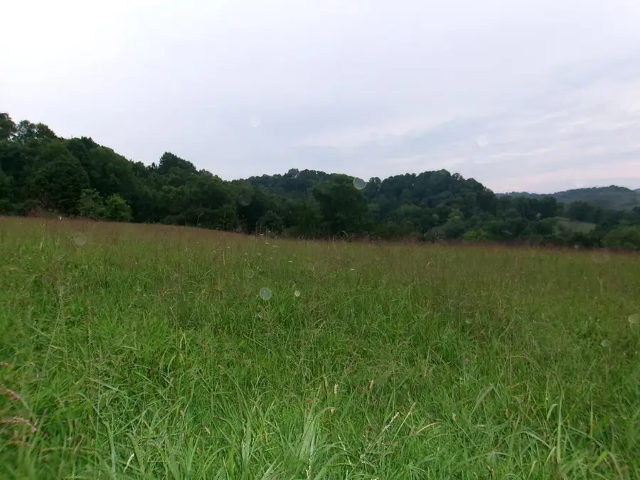 TBD Little Acres Road, North Tazewell, VA 24630 - #3