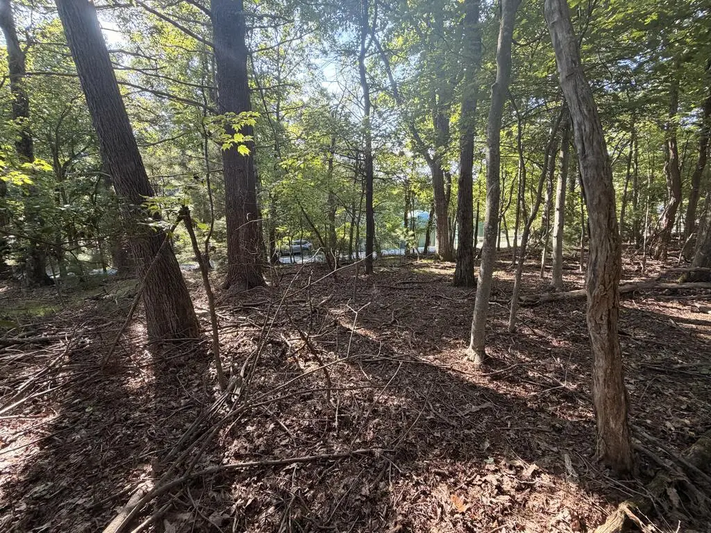 TBD Cascade Trail, Fancy Gap, VA 24328 - #1