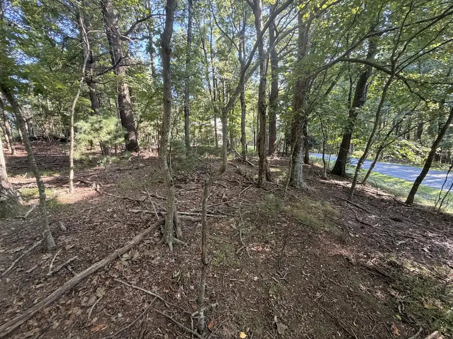 TBD Cascade Trail, Fancy Gap, VA 24328 - #3