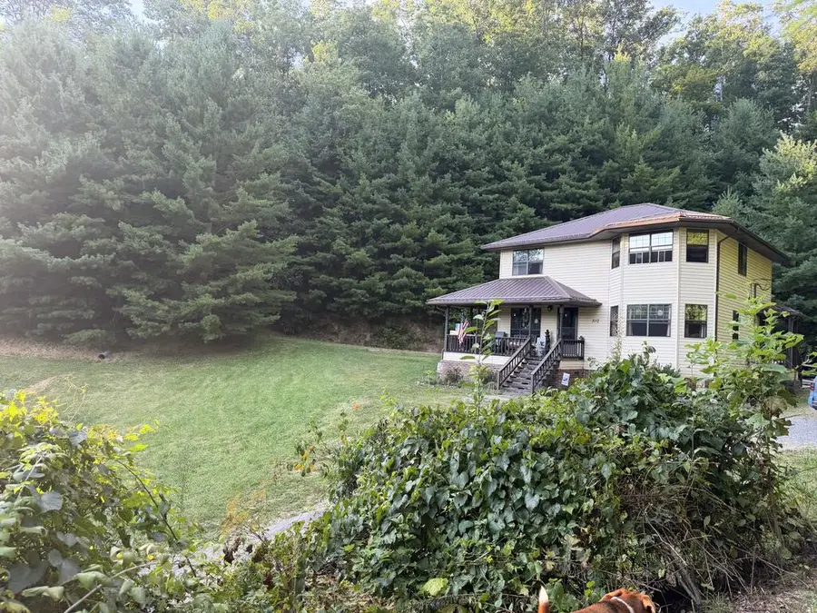310 Walter Street, North Tazewell, VA 24630 - #2