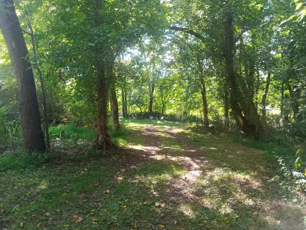 2364 Saltville highway, Saltville, VA 24370 - #1