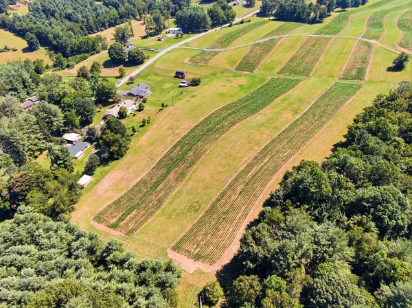 TBD Ridgeview Rd, Floyd, VA 24091