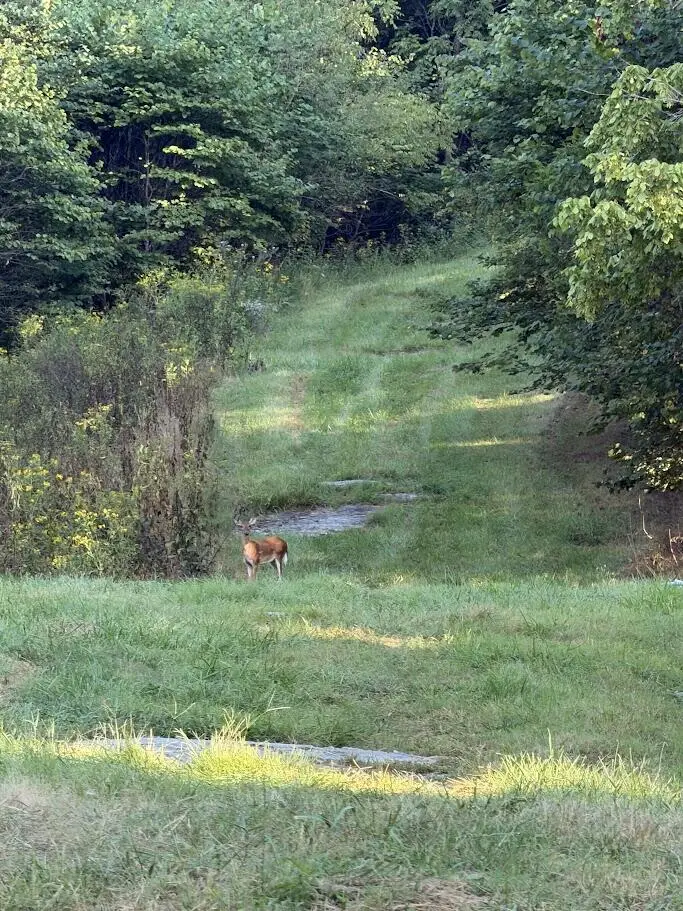 TBD Caney  Valley Rd, Bristol, VA 24202 - #1