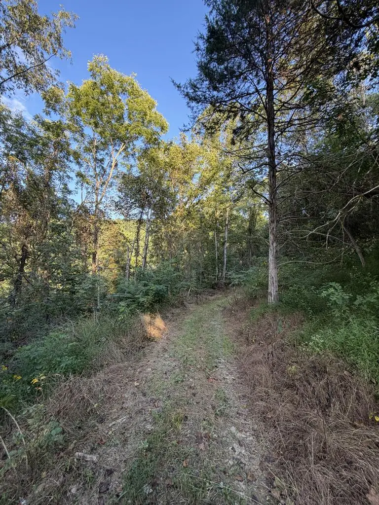 TBD Caney  Valley Rd, Bristol, VA 24202 - #3