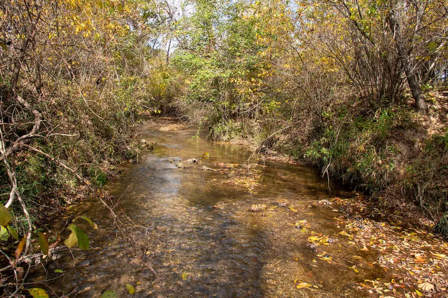 00 Hardin Reynolds Rd, Critz, VA 24082 - #3