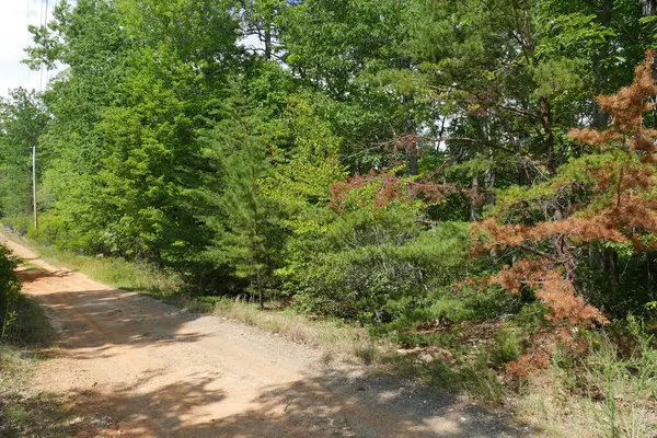 0 Wesley Drive, Amherst, VA 24572
