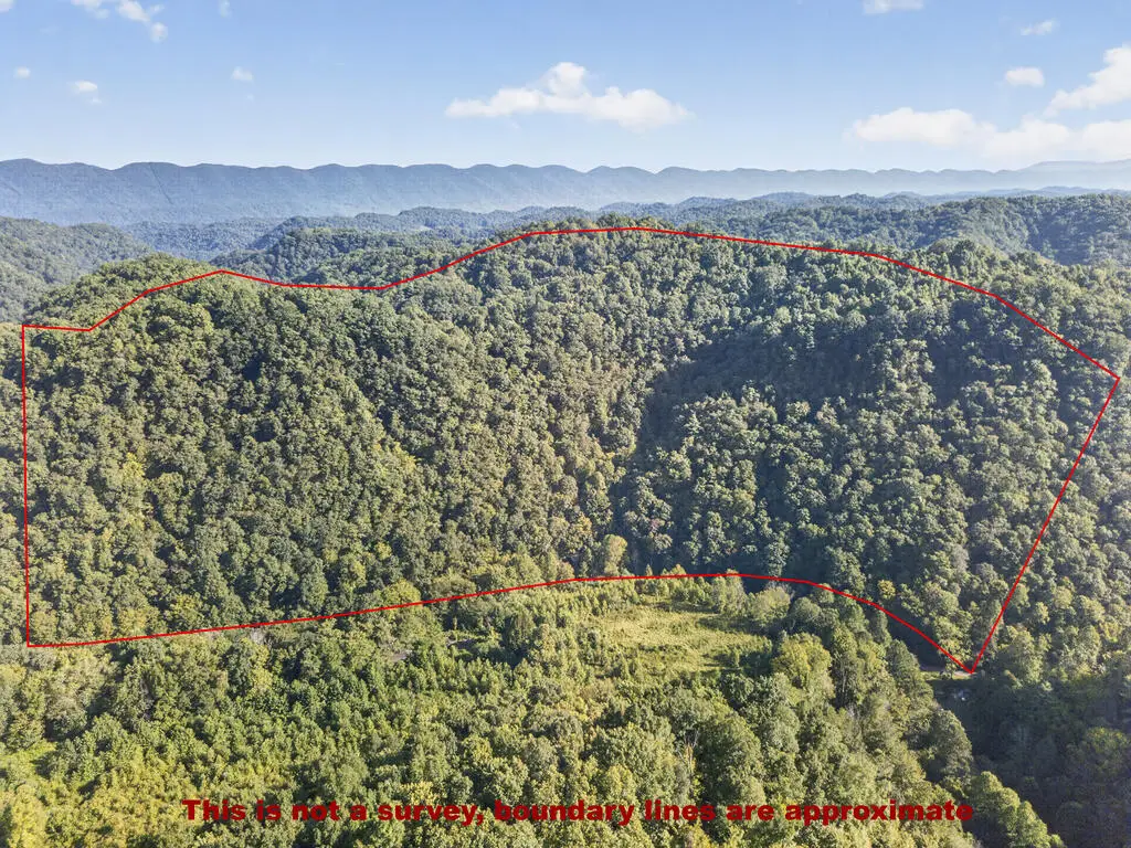 TBD Livingston Cr Rd, Bristol, VA 24202 - #1