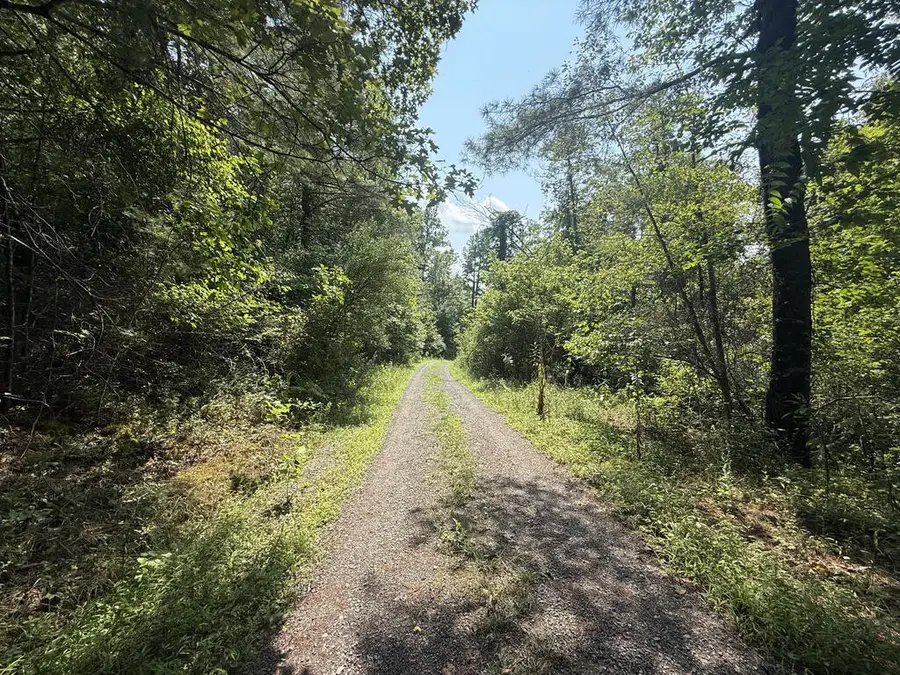 TBD Lampkins, Max Meadows, VA 24360 - #3