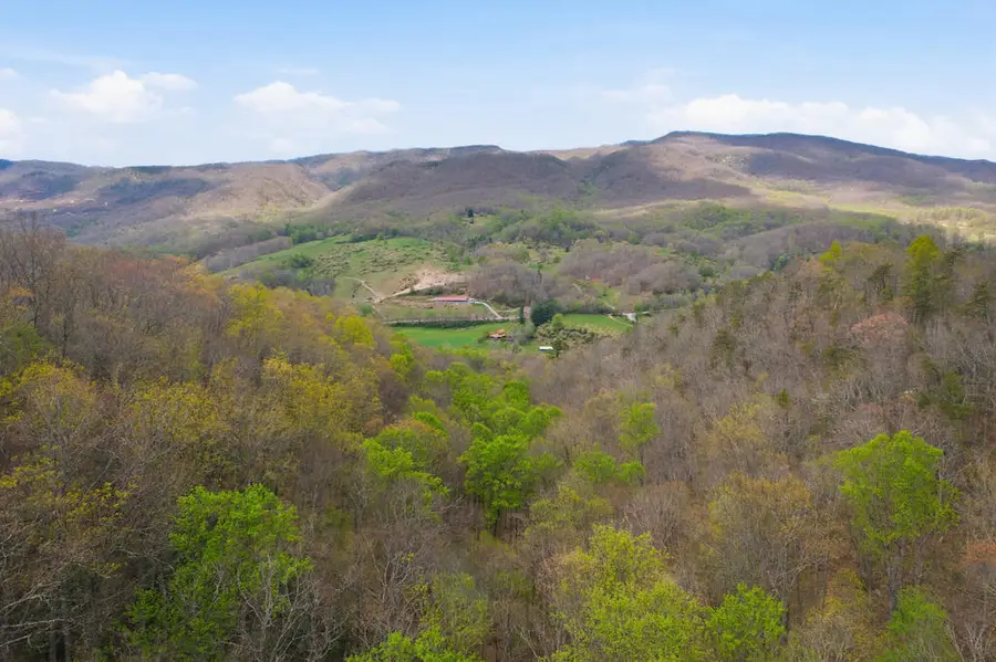 4020 Freestone Valley Road, Tannersville, VA 24377 - #3