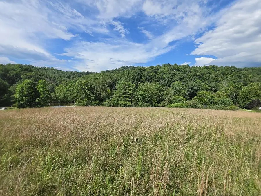 TBD River Bottom Ln, Galax, VA 24333 - #3