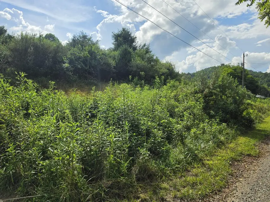 Lot #28 River Bottom Ln, Galax, VA 24333 - #2