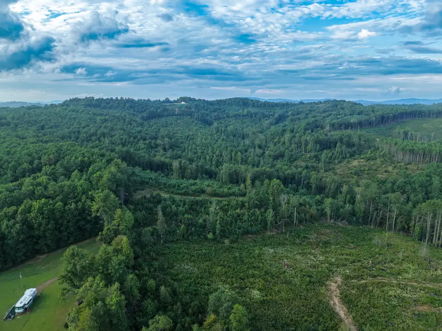 TBD Marian Road, Laurel Fork, VA 24352 - #2