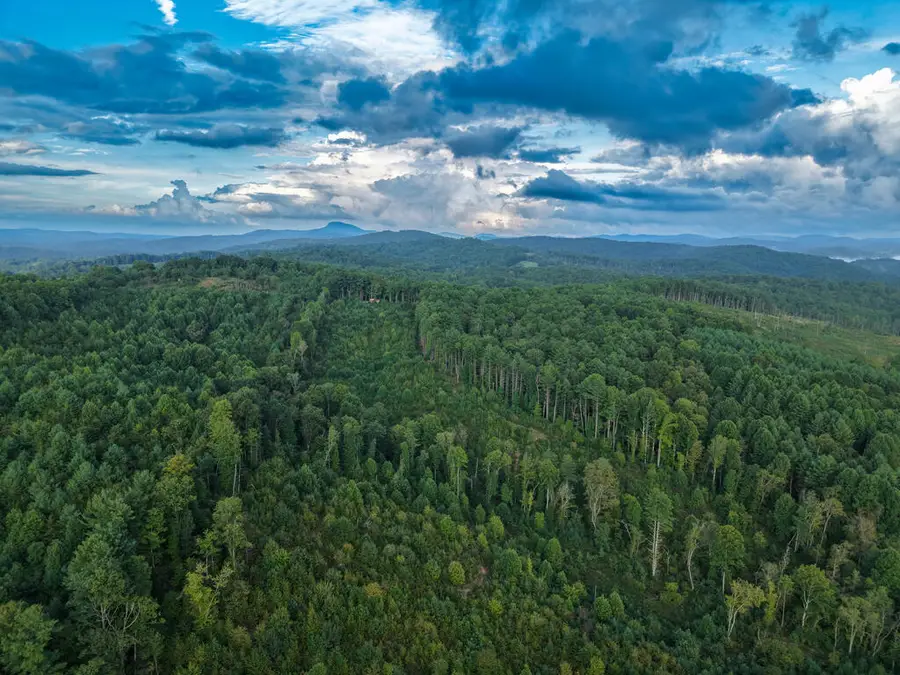 TBD Marian Road, Laurel Fork, VA 24352 - #3