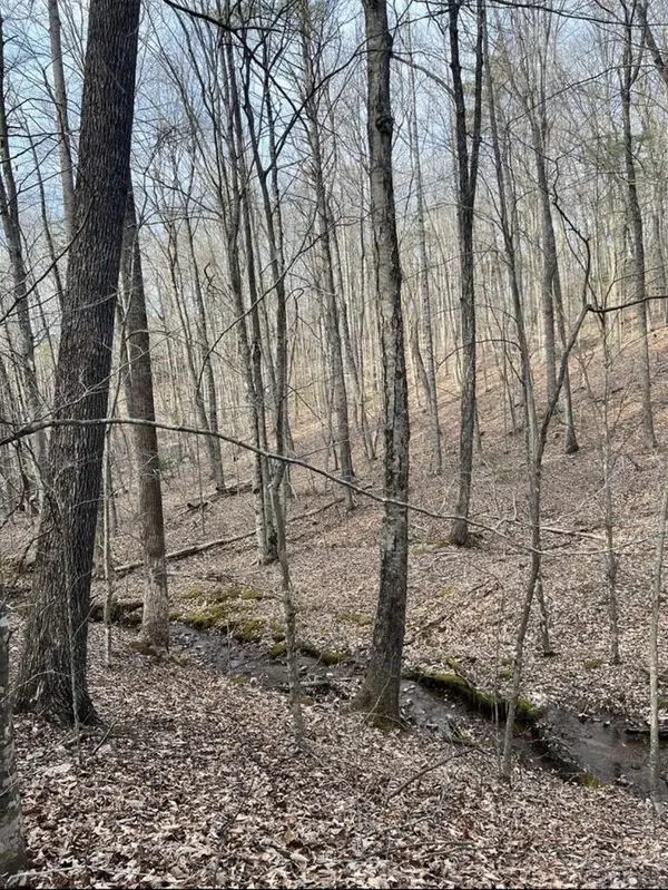 Lot 9 Cove Lane, Woodlawn, VA 24381
