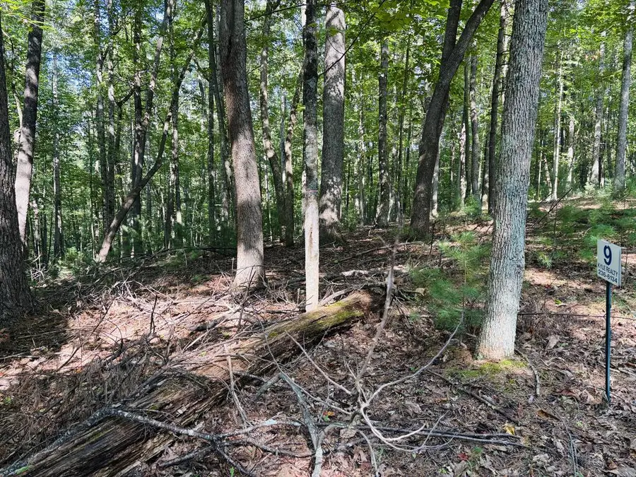 Lot 9 Cove Lane, Woodlawn, VA 24381 - #2