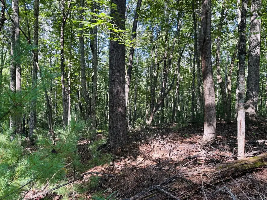 Lot 9 Cove Lane, Woodlawn, VA 24381 - #3