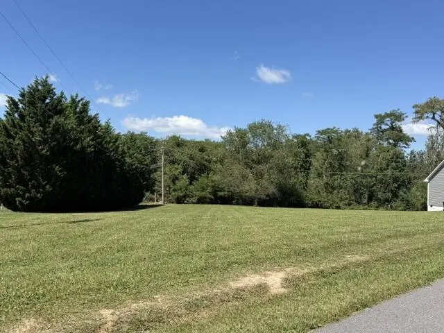 Lot 13 Spiller St, Wytheville, VA 24382 - #2