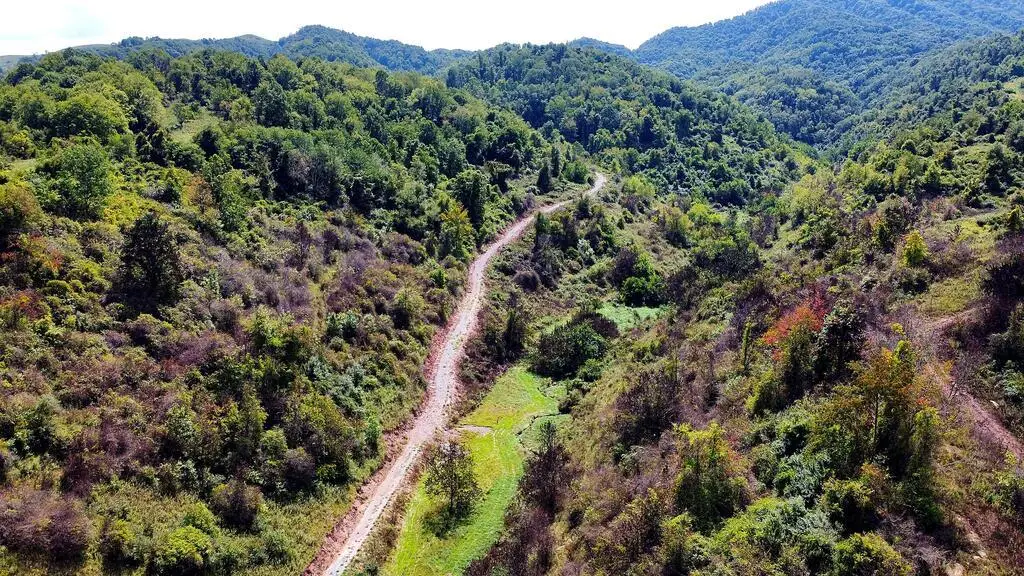 4832 Witten Valley Road, Tazewell, VA 24651 - #1