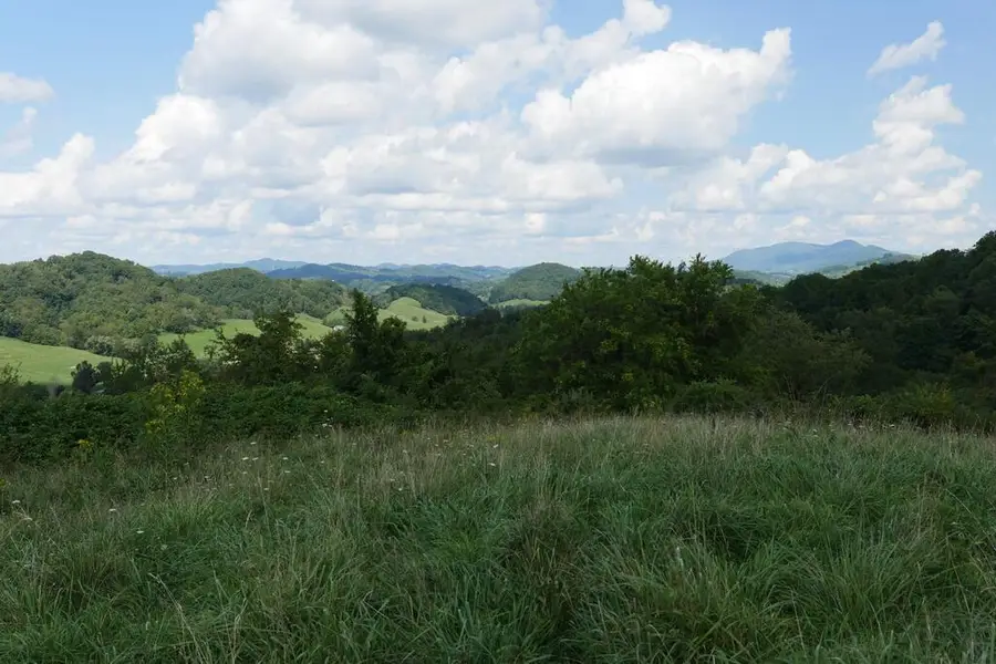 4832 Witten Valley Road, Tazewell, VA 24651 - #2