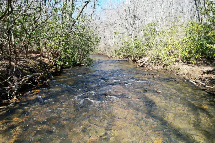 311 Dan River Rd, Meadows Of Dan, VA 24120 - #3