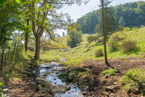 Lot 15 Odell Road, Wytheville, VA 24382