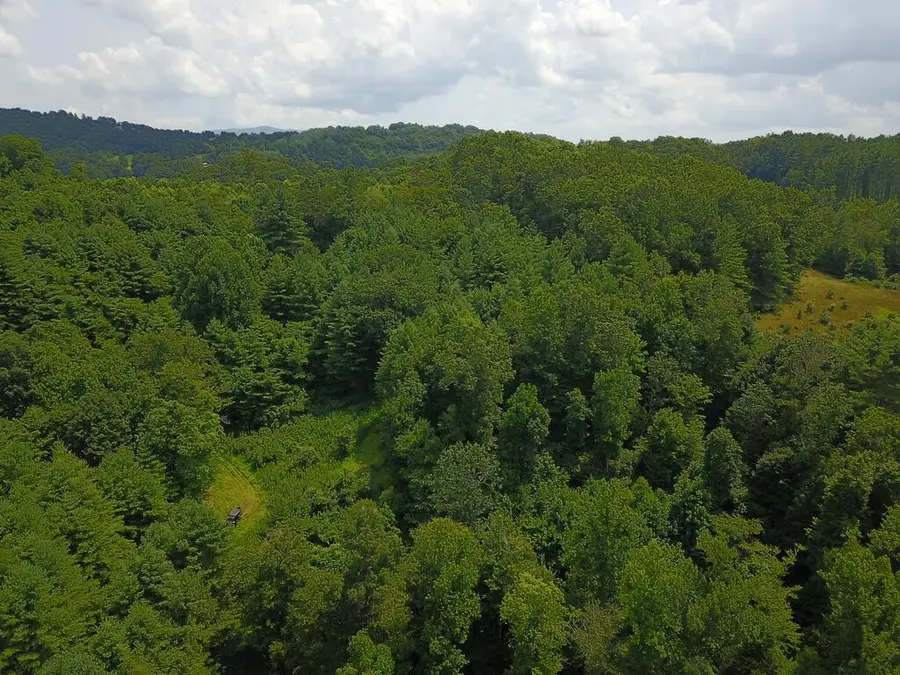 TBD Cardinal, Galax, VA 24333 - #3