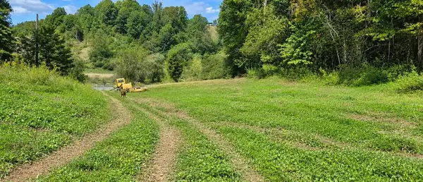36 Acres Baptist Valley, Cedar Bluff, VA 24609