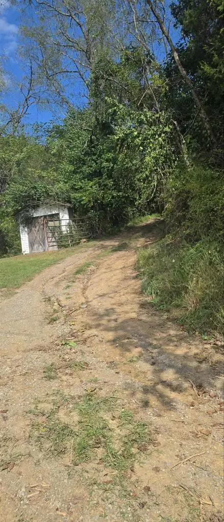 36 Acres Baptist Valley, Cedar Bluff, VA 24609 - #2