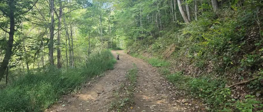36 Acres Baptist Valley, Cedar Bluff, VA 24609 - #3