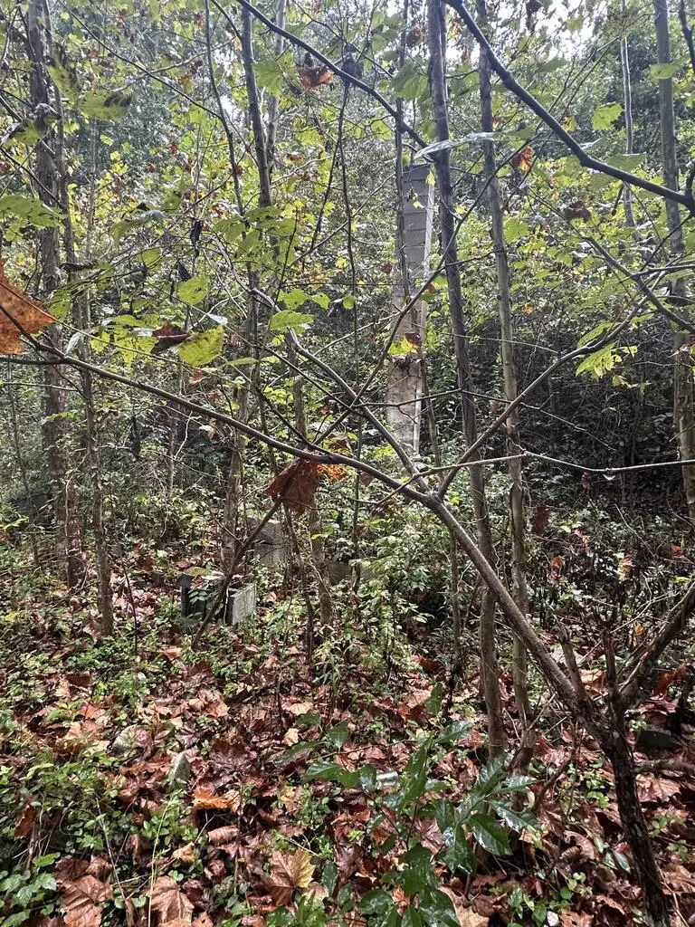 1662 Lewis Creek Rd, Honaker, VA 24260 - #3