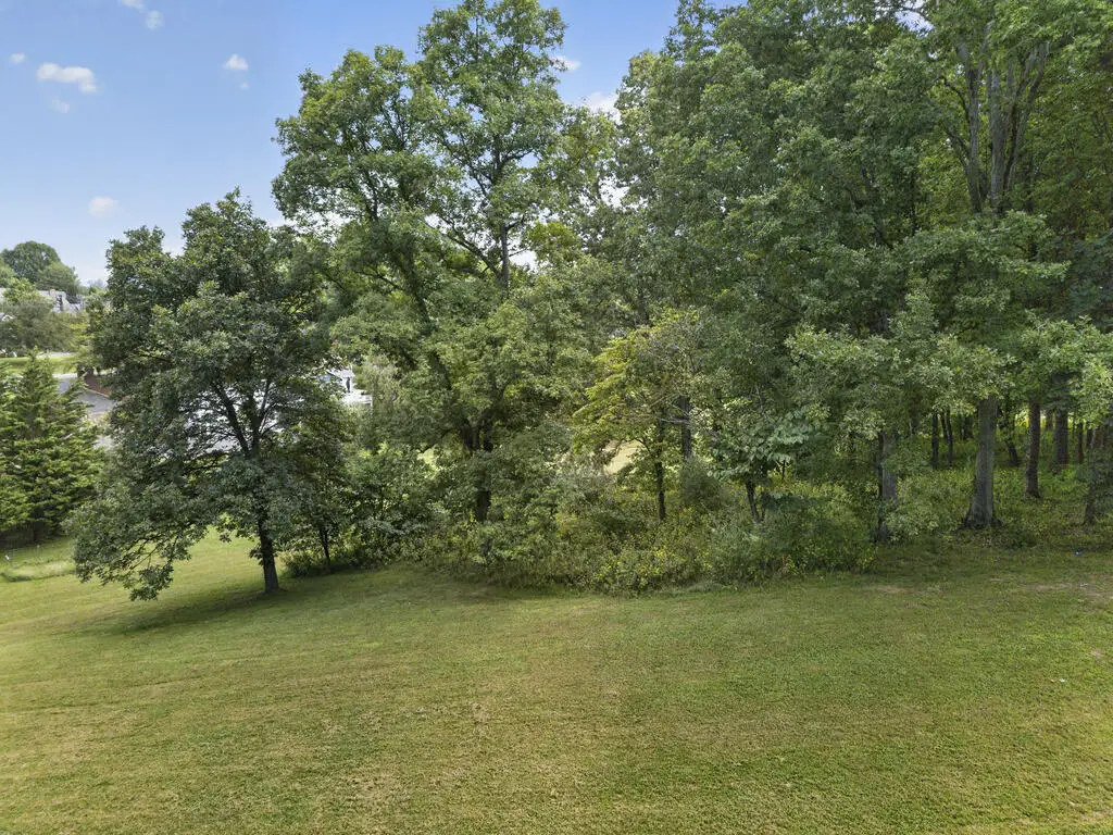 Lot 114 Clifton Ridge Rd, Abingdon, VA 24211 - #1