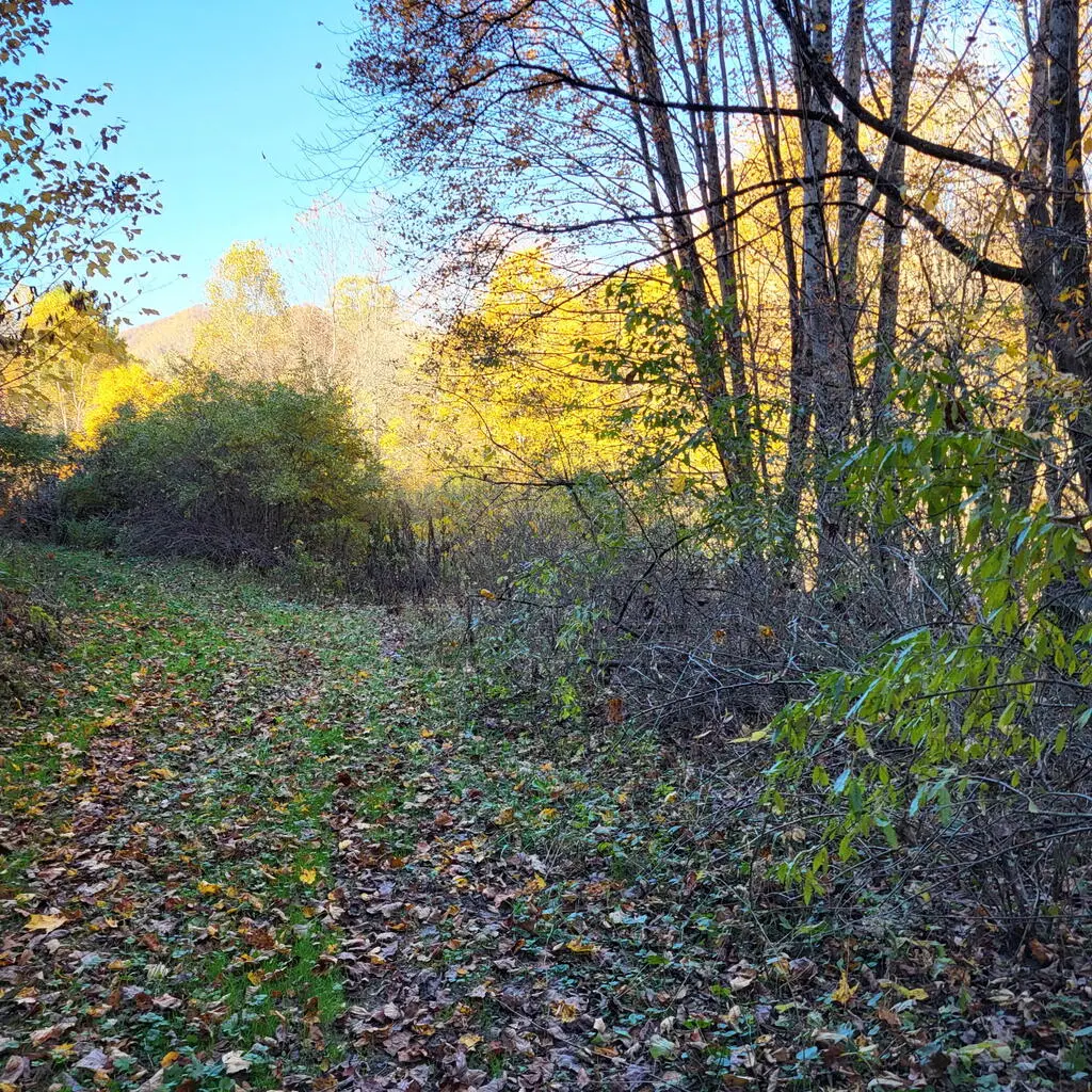 TBD Chestnut Mountain Rd, Damascus, VA 24236 - #1