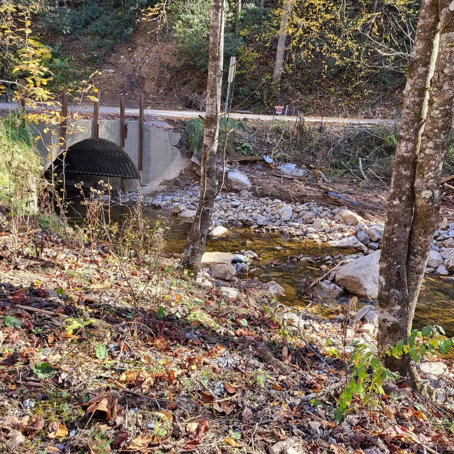 TBD Chestnut Mountain Rd, Damascus, VA 24236 - #2