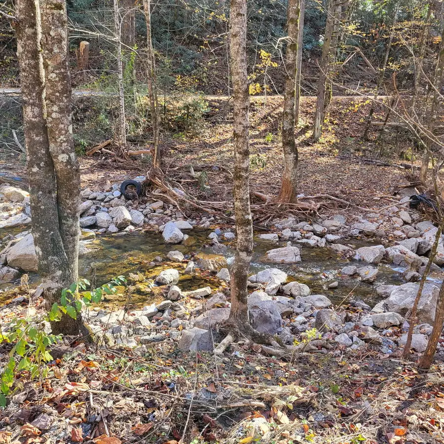 TBD Chestnut Mountain Rd, Damascus, VA 24236 - #3