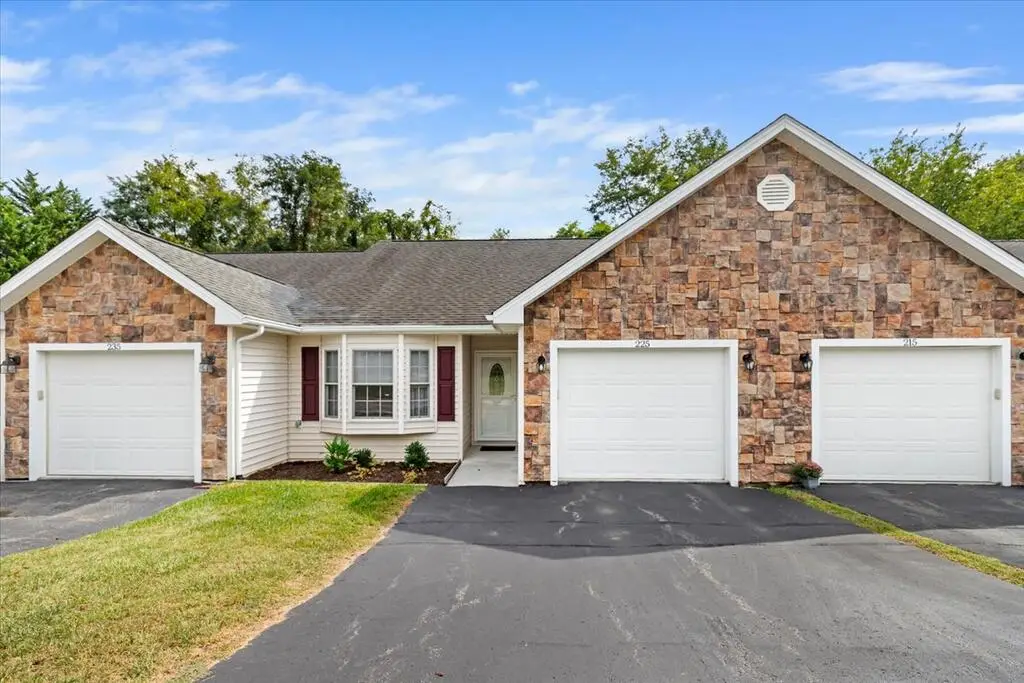 225 Shenandoah Lane, Wytheville, VA 24382 - #1