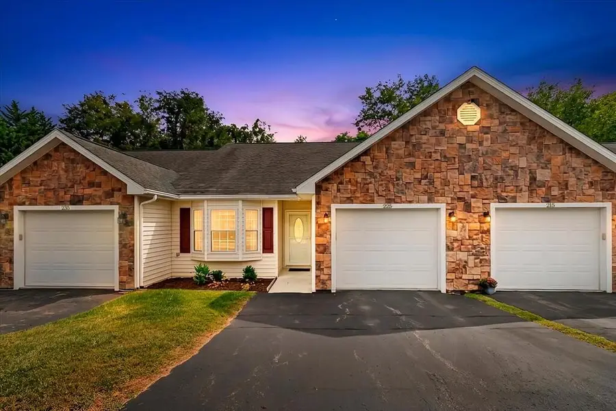 225 Shenandoah Lane, Wytheville, VA 24382 - #2
