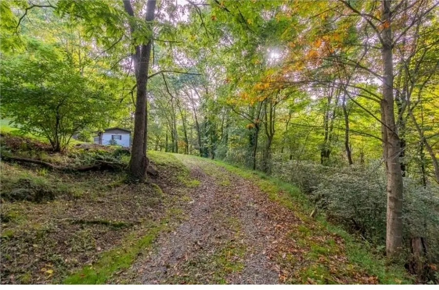 135 York Street, Marion, VA 24354 - #2
