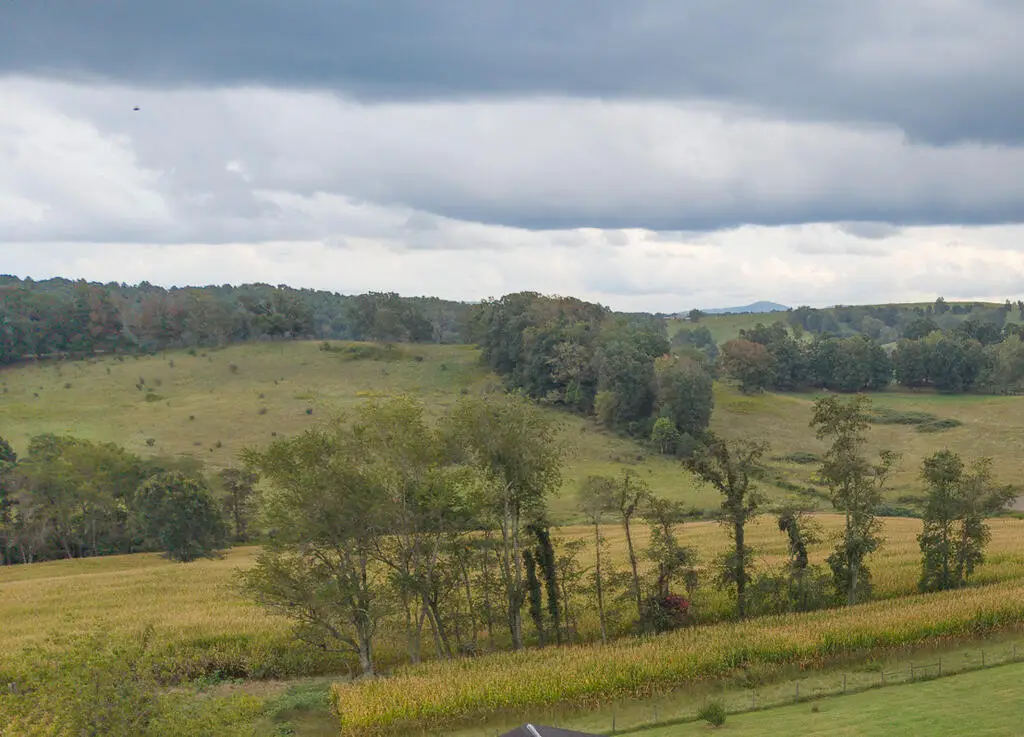 TBD Ivanhoe Road, Max Meadows, VA 24360 - #1
