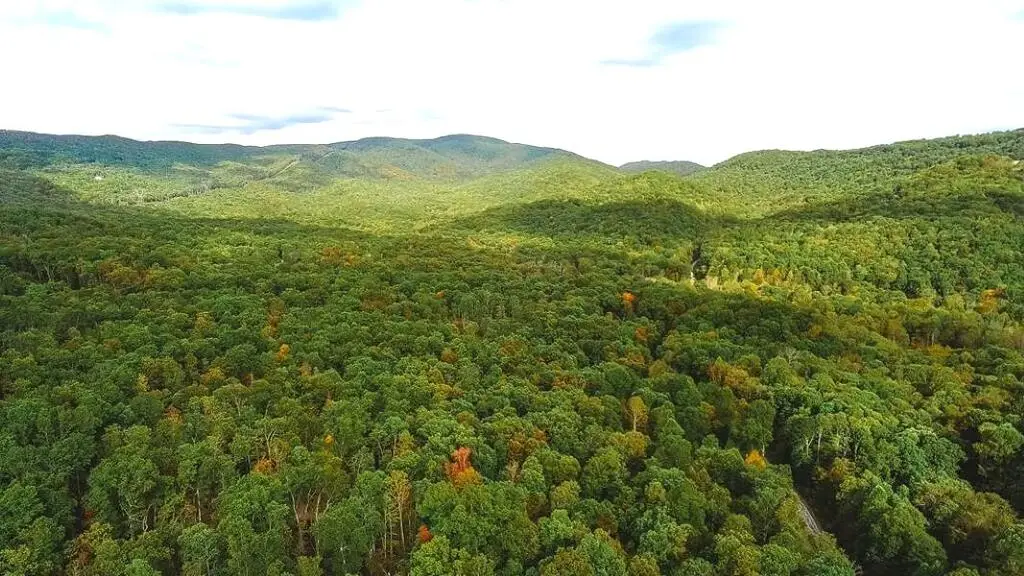 Lot 88 Nye Valley Rd, Bastian, VA 24314 - #1