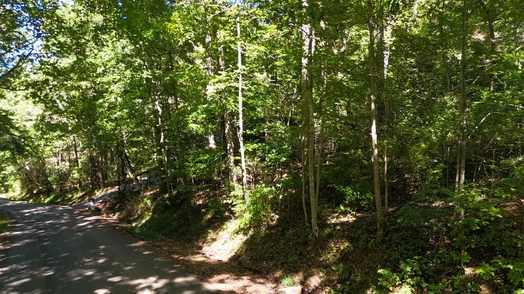 TBD River Oak Dr, Marion, VA 24354 - #1